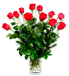 Our Best Premium Roses in a Contemperary Vase from Dallas Sympathy Florist in Dallas, TX