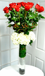 Exquisite 12 Red Roses & Hydrangea Wow! Internet Special!!! from Dallas Sympathy Florist in Dallas, TX