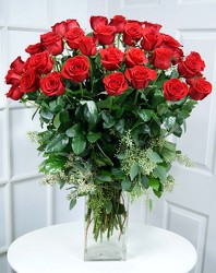48 Gorgeous Red Roses Internet Special !! from Dallas Sympathy Florist in Dallas, TX