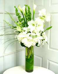 White Amaryllis from Dallas Sympathy Florist in Dallas, TX