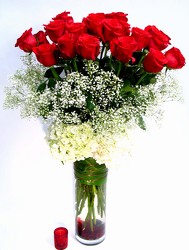 To Her With Love     24  Long Stem Roses  Wow! from Dallas Sympathy Florist in Dallas, TX