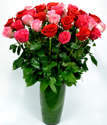 36 Assorted Pink and Red Roses from Dallas Sympathy Florist in Dallas, TX