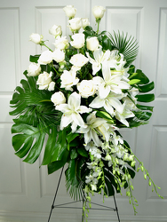 Heavenly from Dallas Sympathy Florist in Dallas, TX