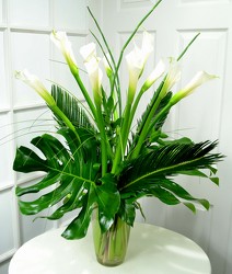 Heavenly Calla Lilies from Dallas Sympathy Florist in Dallas, TX