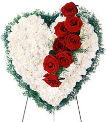 Heartfelt Bleeding Heart from Dallas Sympathy Florist in Dallas, TX