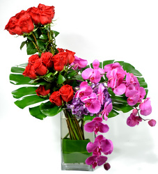 24 Roses & Phalaenopsis from Dallas Sympathy Florist in Dallas, TX