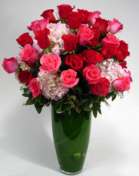  Indulgence  48 Large roses with Hydrangeas INTERNET SPECIAL from Dallas Sympathy Florist in Dallas, TX